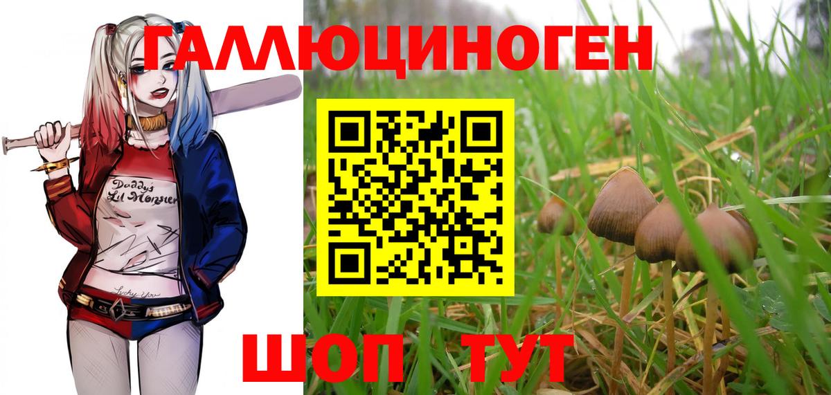 Белорецк  Псилоцибиновые грибы мухоморы  Вход с VPN 
