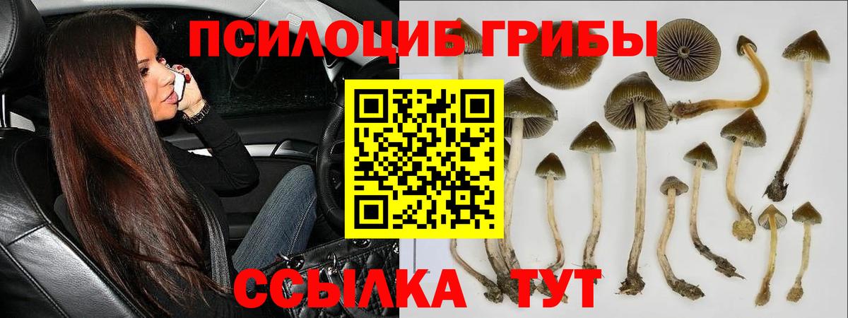 Псилоцибиновые грибы мицелий Белорецк